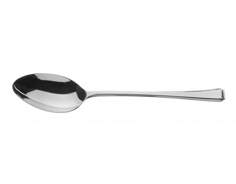 Everyday Classic Harley Serving Spoon
